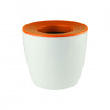 Orange Mini Desk Plant Pots